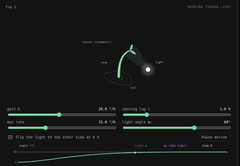 A sunflower seedling bending toward a light, with sliders for the BendLab model